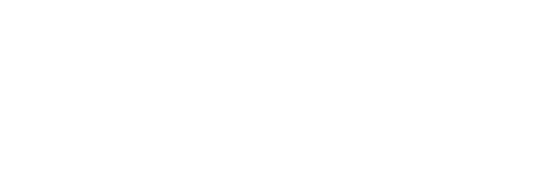 Neoss_Logo-1