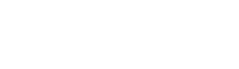 Osteon-Medical 1