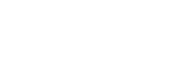 opt-1 (1)